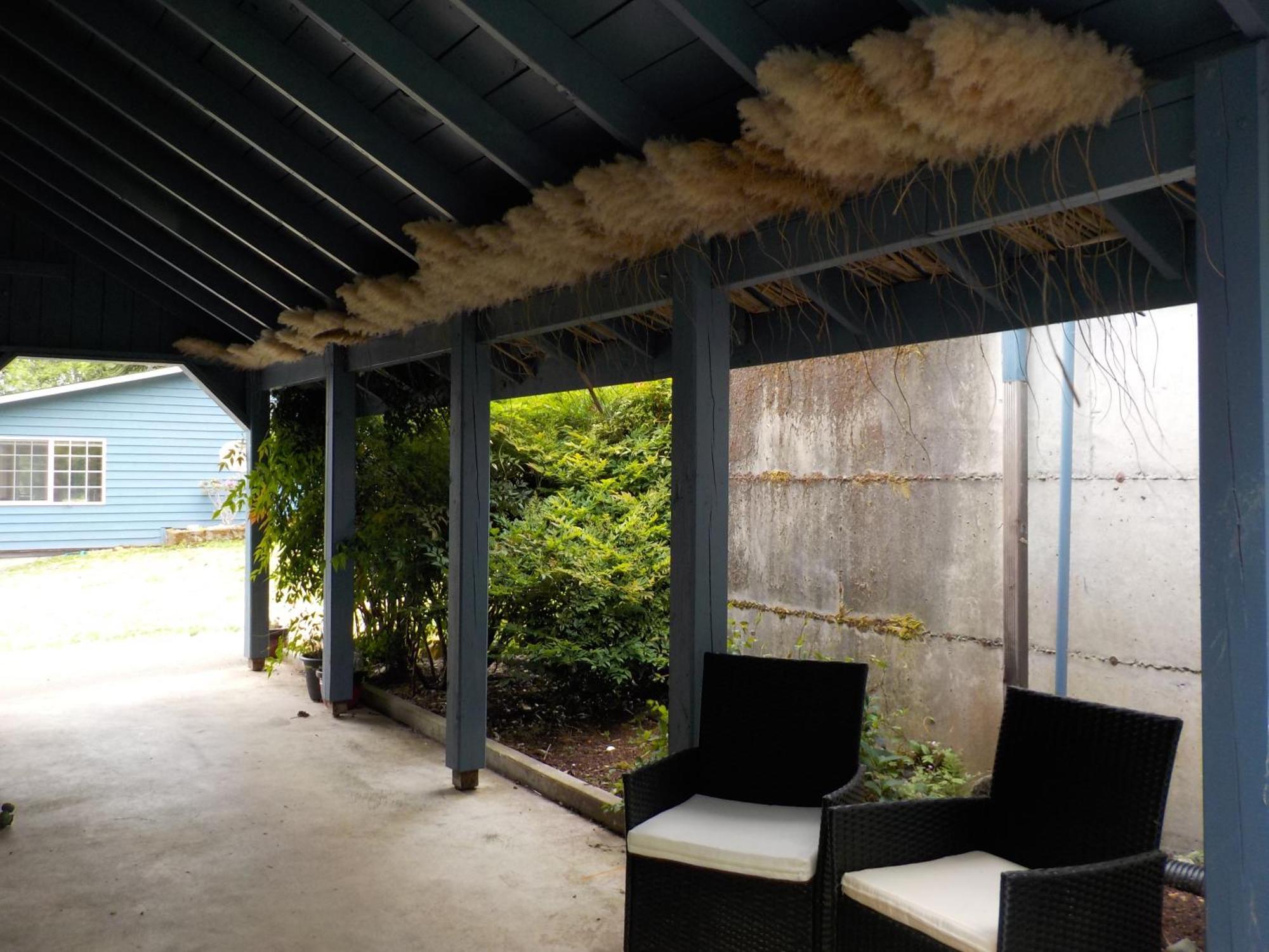Oceanfront Studio/Loft: Alpacas, Oysters & Kayaks 셸턴 외부 사진