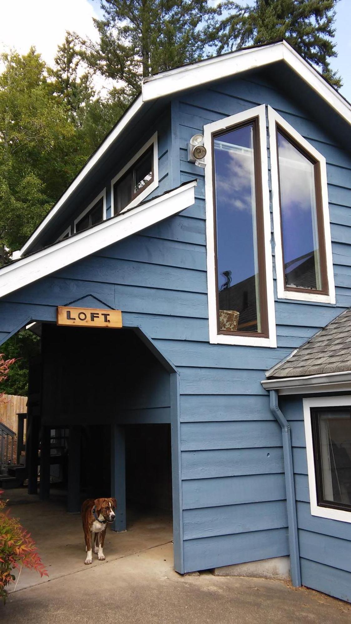 Oceanfront Studio/Loft: Alpacas, Oysters & Kayaks 셸턴 외부 사진